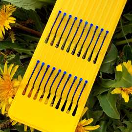 互聯(lián)網(wǎng)銷售的發(fā)展與未來(lái)展望